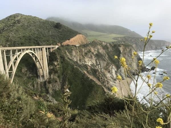 A budget-friendly bridge over the ocean adorned with vibrant yellow flowers.