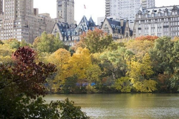 Central Park in New York City offers numerous photo spots, showcasing its stunning combination of trees and buildings.