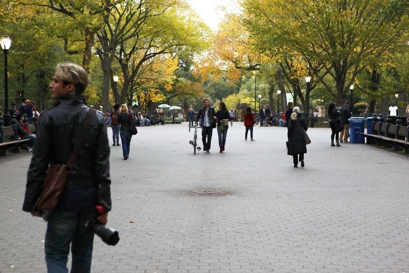 Central Park in fall