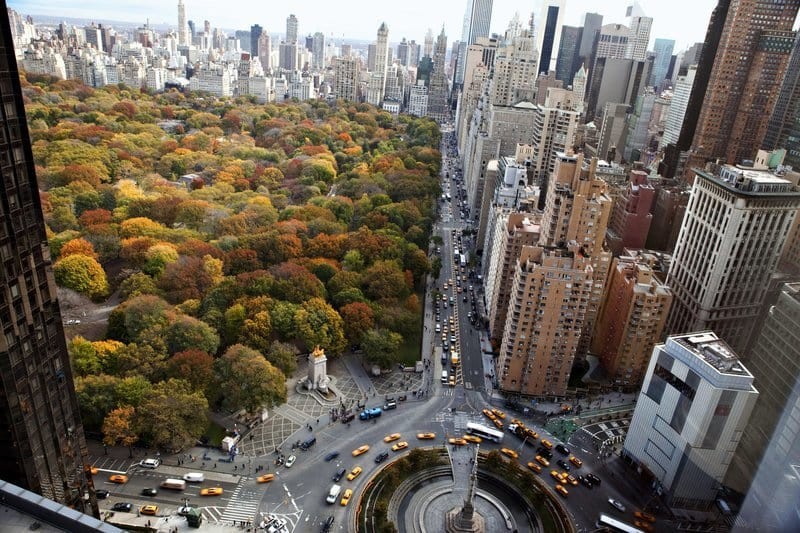 Fall Colors in Central Park