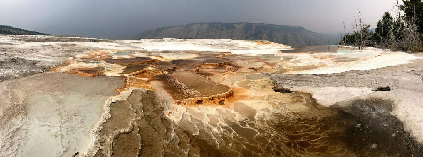 Mammoth Hot Springs