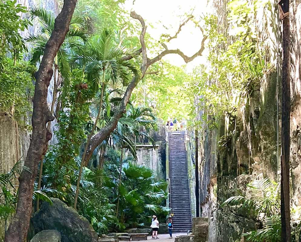 The Queen's Staircase surrounded by trees and plants in Nassau Bahamas