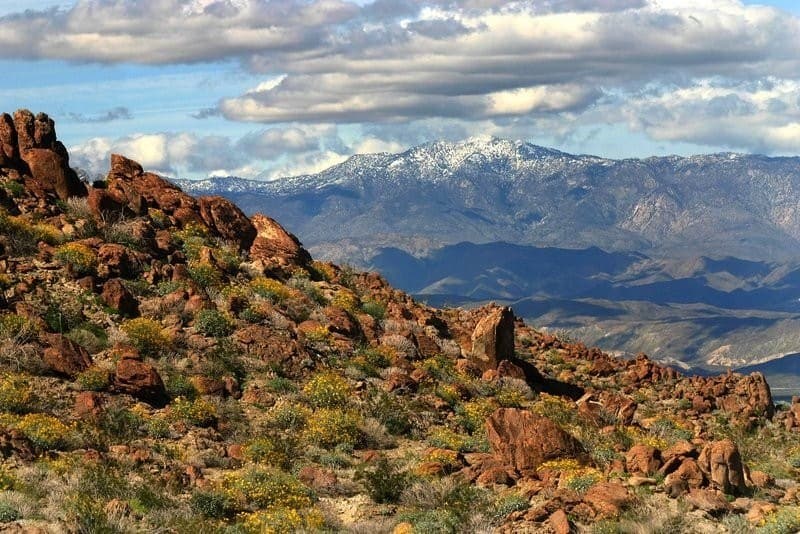 Mountain View Anza-Borrego