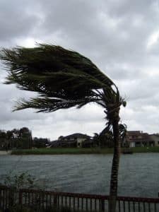 Hurricane season travel