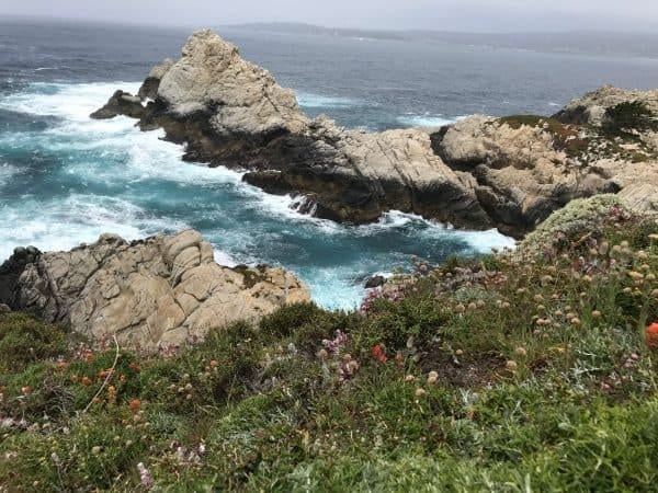 A view of a rocky coastline with wildflowers and a cloudy sky.