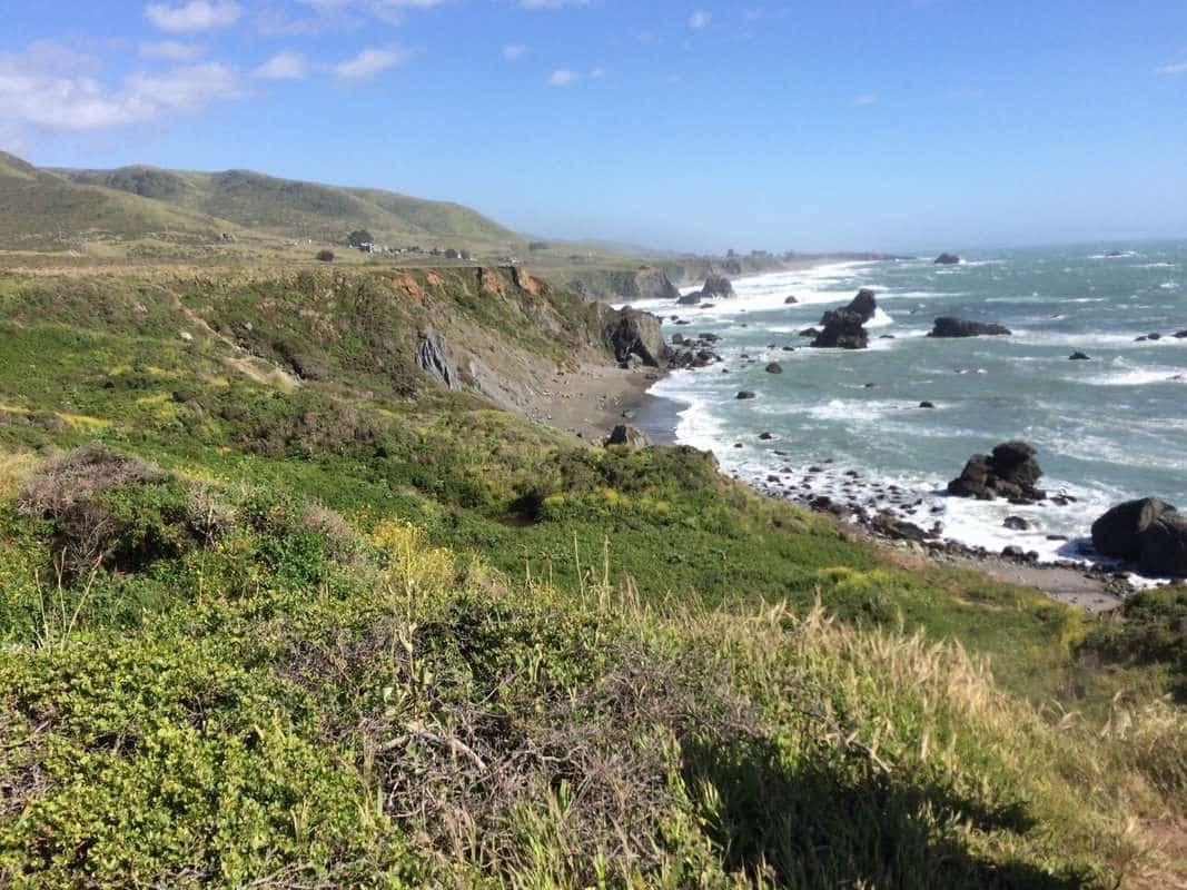 Sonoma County Coast