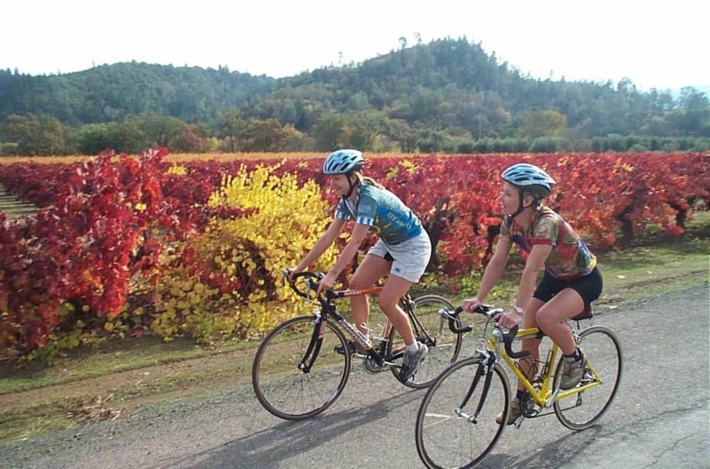 Sonoma Bike Tour Fall