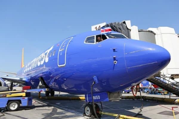 A blue southwest airplane is parked on the tarmac.