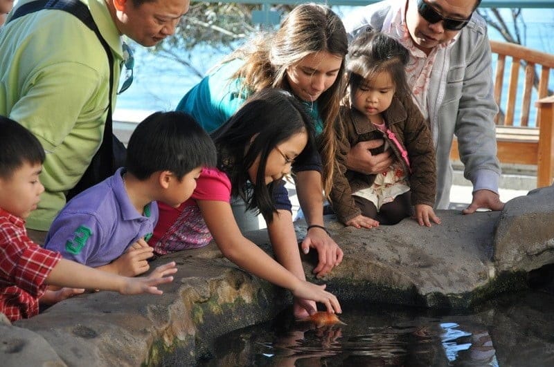 Tide-pools at Birch Aquarium at Scripps