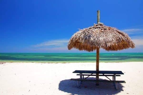 On a sandy beach in Miami, a free thatched umbrella provides shade.