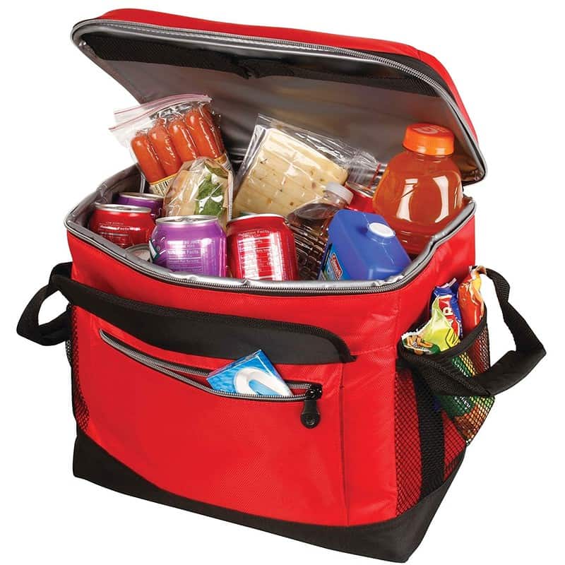 Coleman Collapsible Cooler