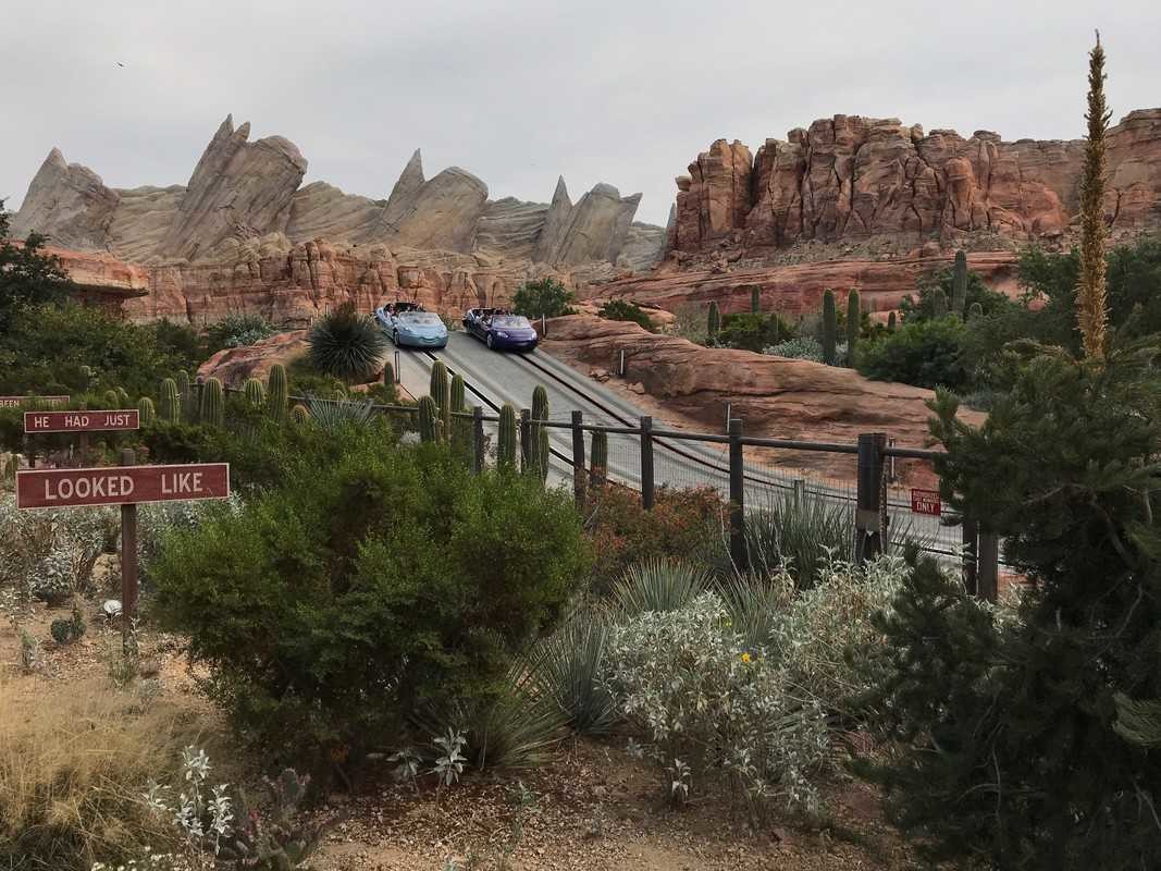 Radiator Springs Racers Disneyland