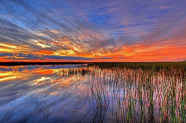 Florida Everglades