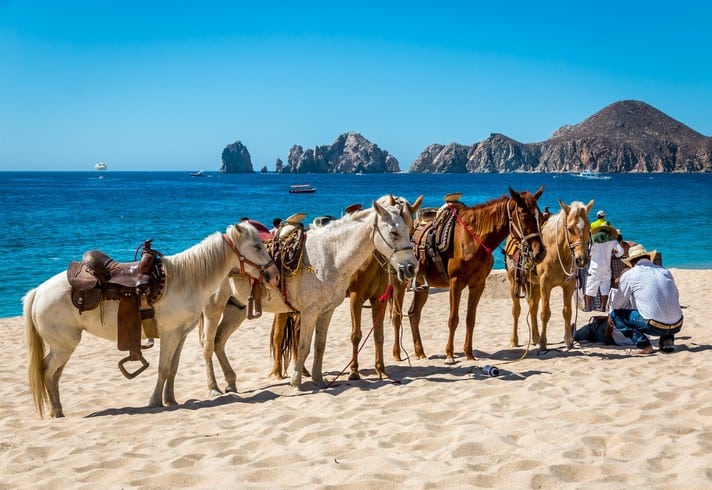 Cabo San Lucas horseback riding