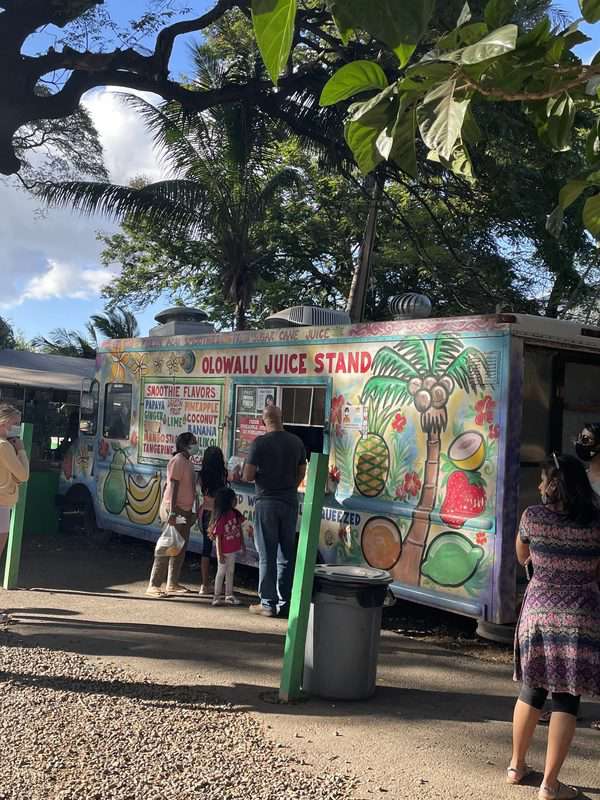 Hawaiian juice stand - hawaiian juice stand.