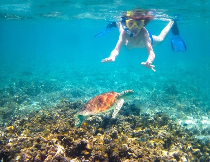 snorkeling