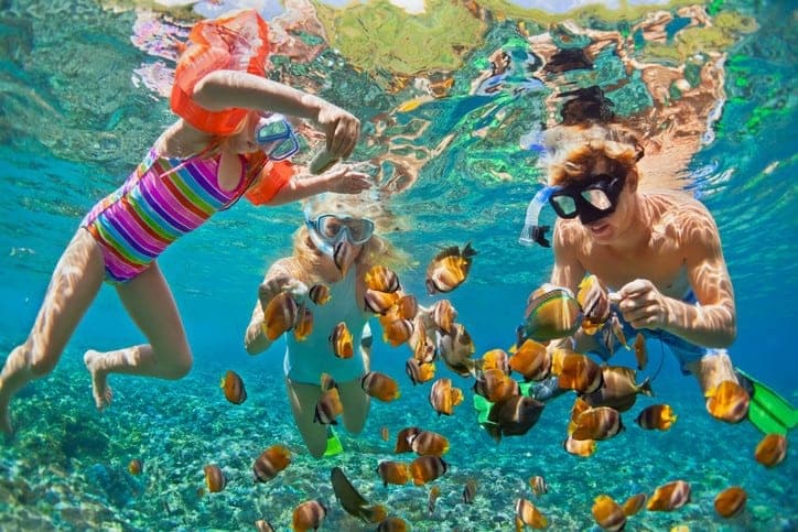 A group of people snorkeling with fish in the ocean.