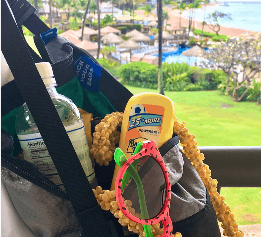 A TRTL beach bag with sunscreen and sunglasses.