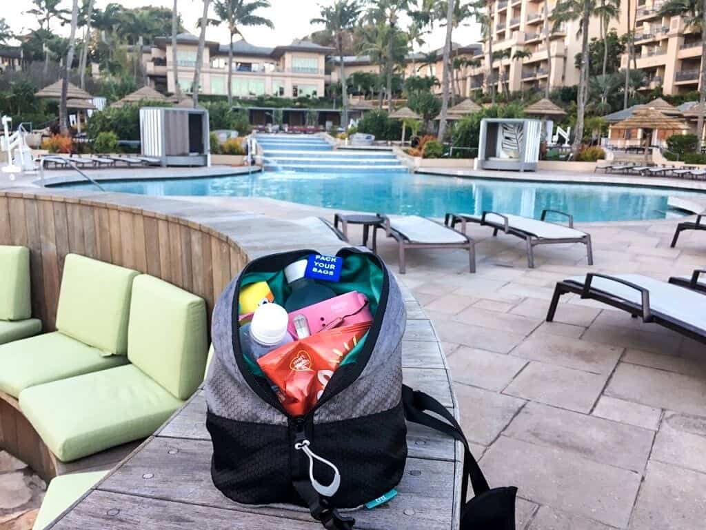 trtl packing pods packing cubes pool bag