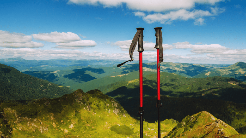 Hiking poles