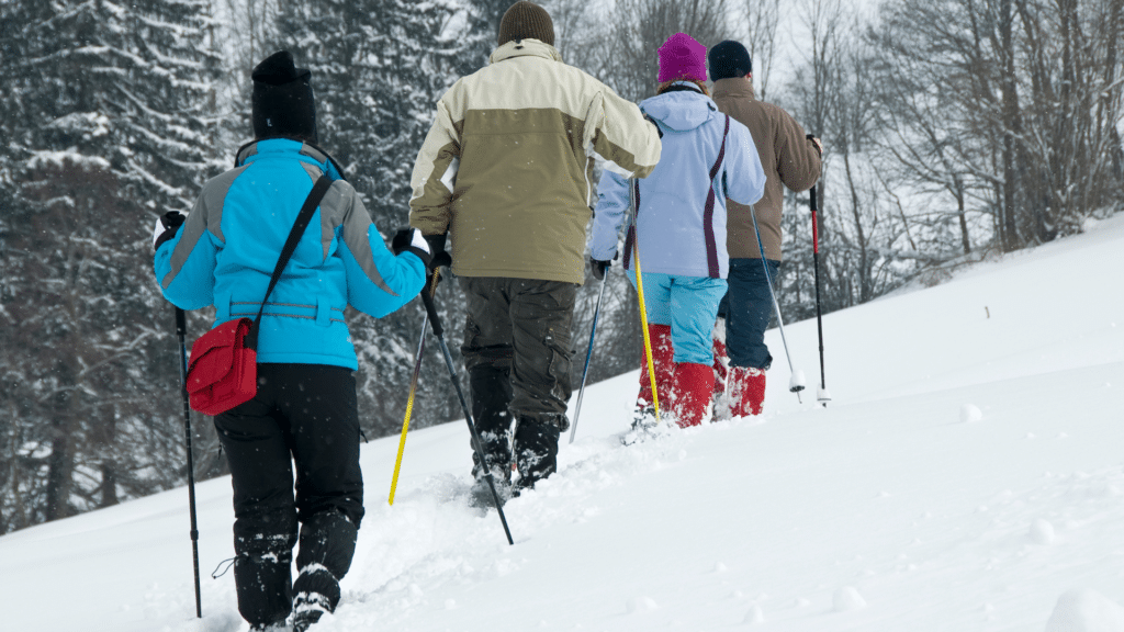 Snowshoeing