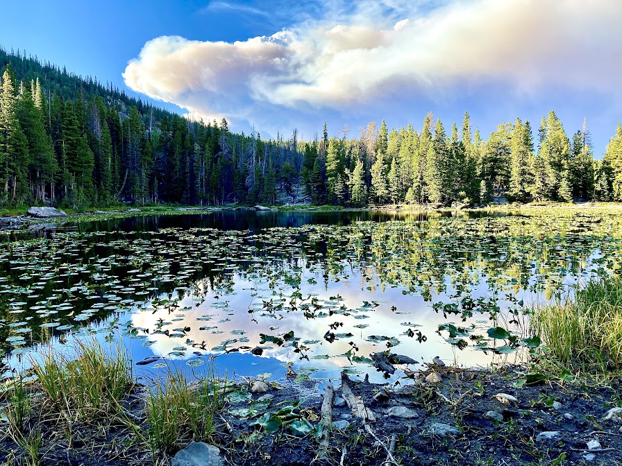 Nymph Lake Rocky Mountain National Park